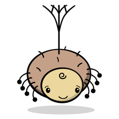 Cute hairy brown spider hanging from a web and casting a shadow. Drawn in a friendly style with flat colors.