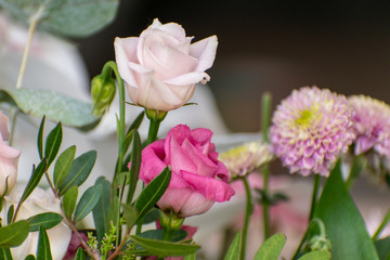 Obraz na płótnie Canvas pink and white rose
