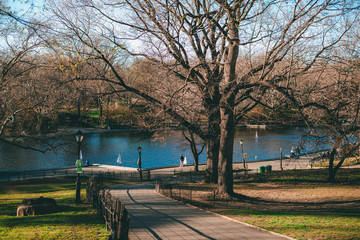 New York City, NY, USA - 04/08/2019: 
Central Park