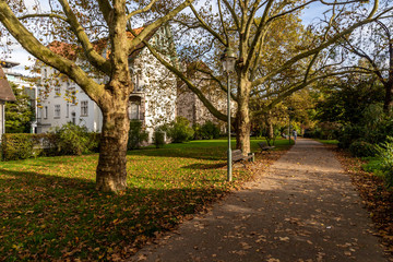Walking path around houses and trees