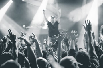 crowd of people dancing in a concert