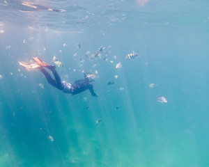 Snorking on excursions to the islands