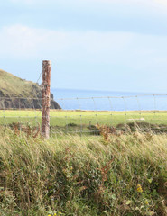 Fototapeta premium Countryside by ocean