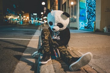 young man in a panda mask sitting on the sidewalk in the night time with alcohol bottles in hands © Erik
