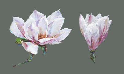 
Hand painted magnolia flower