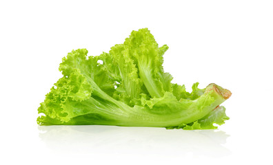 Lettuce leaf isolated on white background ,Green leaves pattern ,Salad ingredient