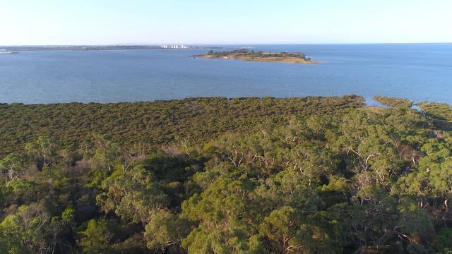 Aerial rise over trees to reveal ocean costline and low mangrove vegetation