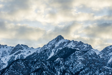 close-up view of the mountain peak with trees and snow on it sunset time.