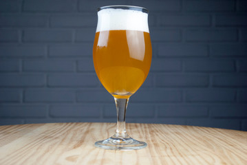 Brazilian Craft Beer