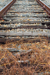 Abandoned Countryside