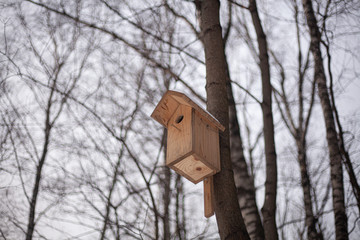 Bird feeder on a tree.