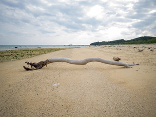 沖縄、石垣島の海岸と漂流物