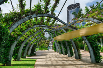 Southbank river city Brisbane Grand Arbor flower arch in summer with no flowers - obrazy, fototapety, plakaty