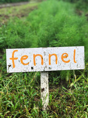 Garned sign with Fennel