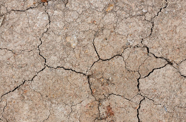 cracked soil texture