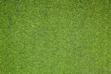 green grass background