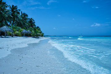 Tropical beach in Saona island in the caribbean sea (Dominican Republic).