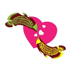 Arowana fish vector. fish and love. Vector Illustration on white background