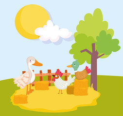 Plakat farm animals duck goose and rooster stack of hay and tree