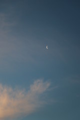 paysage d'un jardin fleuri au printemps