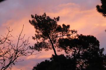 paysage au crépuscule ciel  multicolore