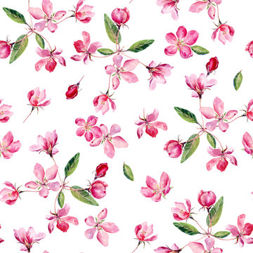 Apple blossom watercolor seamless pattern. Beautiful hand drawn texture © Anna
