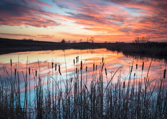 A dramatic sunset sky marks the end of the day at a wetland nature preserve in northern Illinois,...