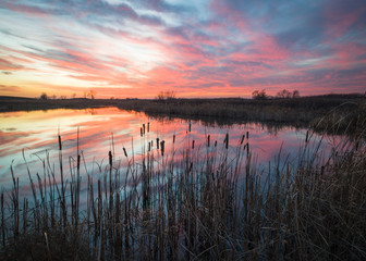 A dramatic sunset sky marks the end of the day at a wetland nature preserve in northern Illinois, USA.