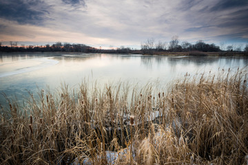 Cattails along the shoreline of a frozen pond with sunset reflections in the ice.