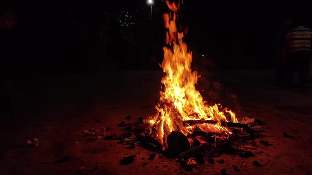 Burning Lohri / Holi bonfire to celebrate Punjabi festival of harvest in north India. Celebrated by newly weds in winter season with popcorn, sesame  and peanuts / groundnuts as offering