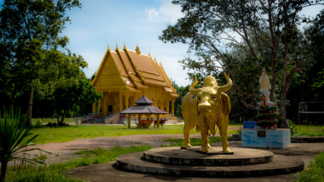 Golden Thai Wat with golden water buffalo statue in front