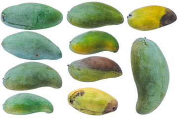 set of avocado fruits