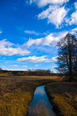 Clouds over the meadow