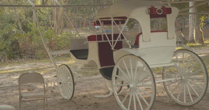 An antique horse drawn carraige used for transporting wedding couples to an outdoor event in a pine forest