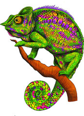 stylized chameleon green graphics abstraction