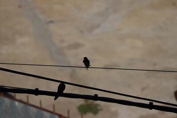 paysage  ville Aquézar  montagne château, falaises canyons architecture © A S Santacreu Anita