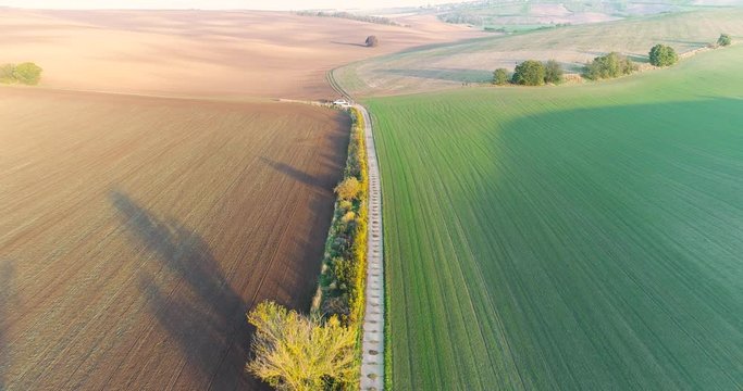 Drone flight over long path through huge colourful fields