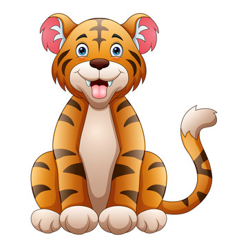 A tiger sitting down on a white background