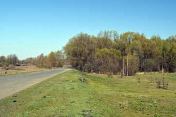 Obraz premium Eastern Europe spring landscape. Poltava Region