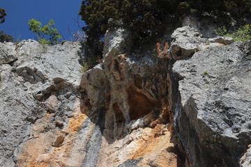paysage  ville Aquézar  montagne château, falaises canyons architecture