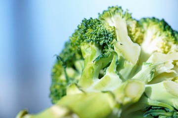 fresh broccoli on white background