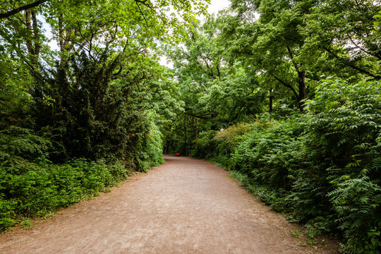 Volkspark Hasenheide in Berlin