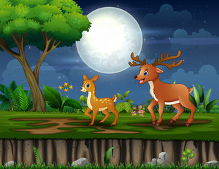 Obraz na płótnie Canvas Cartoon mother deer and her cub walking at night