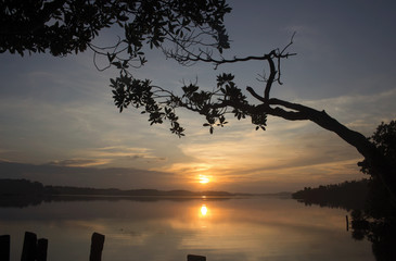 Sunset on the lake in rural area with a tree