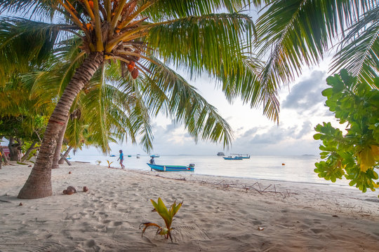 The beautifull beach of Dhangethi, maldives. Known for Diving, day tour for resort and this beautifull beaches and the swing in the water
