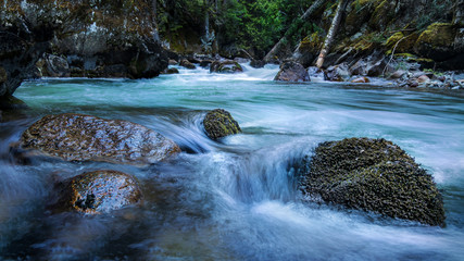 River in the forest.