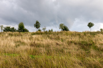 Park in the suburbs of Berlin