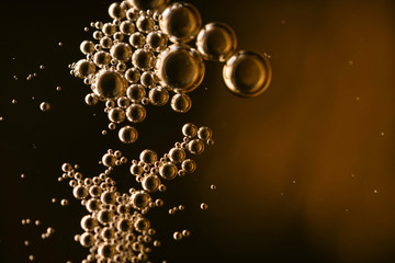Beer Bubble macro Wallpapers 