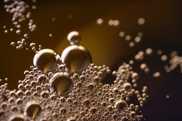 Beer Bubble macro Wallpapers 