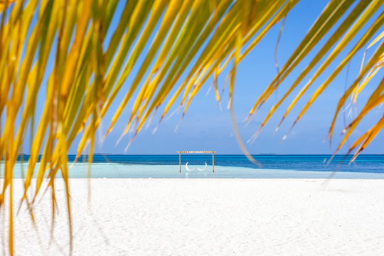 The beautifull beach of Dhangethi, maldives. Known for Diving, day tour for resort and this beautifull beaches and the swing in the water
